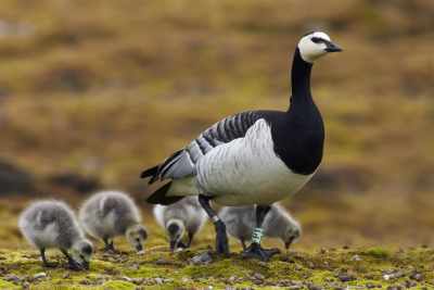 foto Jasper Doest http://www.doest-photography.com